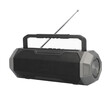 LAMTECH PORTABLE FM RADIO SPEAKER WITH FLASHLIGHT & MOBILE PHONE HOLDER