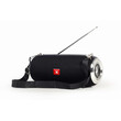 GEMBIRD PORTABLE BLUETOOTH SPEAKER WITH ANTENNA BLACK