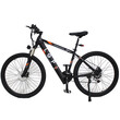 LGP MOUNTAIN E-BIKE 36V 250W "REBEL" LGP MOUNTAIN E-BIKE 36V 250W "REBEL"