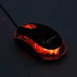 GEMBIRD WIRED USB OPTICAL MOUSE BLUE/TRANSPARENT