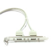 C167-SLOT2 . USB Port 2xAF to 2x5pin (5 pin+5 pin) 35cm