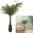 Τεχνητό Φυτό Φοίνικας 120 cm HD0452 Home Deco Factory
