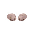 JBL Live Free NC+ TWS (Pink)