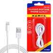 OEM  ΚΑΛΩΔΙΟ ΦΟΡΤΙΣΗΣ LIGHTNING 1m
