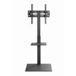 GEMBIRD TV FLOOR STAND 32'-55' BLACK
