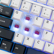 WHITE SHARK MECH US KEYBOARD RED SWITCH GK-007251 EXCALIBUR WHITE