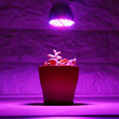 GloboStar® 85960 Grow Light Spot Full Spectrum LED Σποτ Ανάπτυξης Φυτών Θερμοκηπίου με Ντουί E27 SMD 2835 28W 120° AC230V IP20 Εσωτερικού Χώρου για Κάλυψη Επιφάνειας 0.6m x 0.6m Πλήρους Φάσματος Φωτισμού