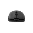 WHITE SHARK MOUSE GM-5014 GRAPHENE 12.400 DPI BLACK