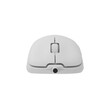 WHITE SHARK MOUSE GM-5014 GRAPHENE 12.400 DPI WHITE