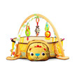 Γυμναστήριο για Μωρά Λιοντάρι 77 x 77 x 53 cm Ecotoys 88969
