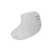 SBOX ERGONOMIC WIRELESS MOUSE WHITE