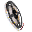 GloboStar® AVILA 90590 Ταινία LED 4.8W/m 300lm/m 120° DC 12V IP20 - 60 x SMD 3528 LED Chip/Μέτρο - Μ5000 x Π8 x Υ2mm - Ρολό 5 Μέτρων - Ψυχρό Λευκό 6000K - 2 Χρόνια Εγγύηση