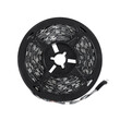 GloboStar® DIGISTRIP 90757 Set RGB Strip - Σετ RGB Ταινίας 5 Μέτρων με Controller & Ασύρματο Χειριστήριο IR - LED SMD 5050 36W/5m 150LED/5m 2880lm/m 120° DC 5V με USB 2.0 IP20 Πολύχρωμο RGB - Dimmable - Μαύρο Σώμα - Μ500 x Π1 x Υ0.2cm - Συσκευασία 5 Μέτρων - 2 Χρόνια Εγγύηση