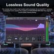 DIGITAL IQ STREAM 232