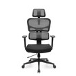 Καρέκλα Γραφείου - Eureka Ergonomic® ERK-OC12-B