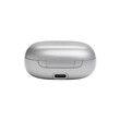JBL LIVE FLEX (SILVER)