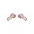 JBL LIVE FLEX (ROSE)