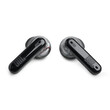 JBL TUNE FLEX (GHOST BLACK)