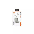 JBL LIVE FLEX (SILVER)