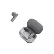 JBL LIVE FLEX (SILVER)