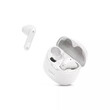 JBL TUNE FLEX (WHITE)