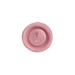 JBL FLIP 6 (PINK)