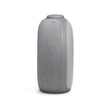JBL HORIZON 2 (GREY)