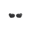 JBL TUNE BUDS (BLACK)