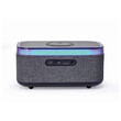 GEMBIRD DIGITAL ALARM CLOCK WITH SPEAKER AND WIRELESS CHARGING FUNCTION BLACK/GREY