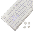 WHITE SHARK LED KEYBOARD GK-003241 TACHI US LAYOUT WHITE