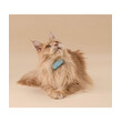 Tractive CAT mini GPS Pet Tracker Γάτας με Κολάρο Mint (Τεμάχιο)