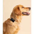 Tractive TRDOG6BK GPS Pet Tracker Σκύλου Black (Τεμάχιο)