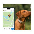 Tractive TRDOG6BR GPS Pet Tracker Σκύλου Brown (Τεμάχιο)