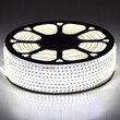 GloboStar® 70500 Slim Ταινία Μονής Σειράς Epistar LED SMD 2835 1m 12W/m 96LED/m 1680lm/m 120° DC 230V Αδιάβροχη IP68 Ψυχρό Λευκό 6000K Dimmable