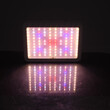 GloboStar® 85951 Grow Light Hydro Full Spectrum LED Φωτιστικό Ανάπτυξης Φυτών Υδροπονικού Θερμοκηπίου SMD 2835 70W 160° AC230V IP54 Εσωτερικού Χώρου για Κάλυψη Επιφάνειας 1.5m x 1.5m Πλήρους Φάσματος Φωτισμού