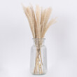 GloboStar® MISCANTHUS 36534 Αποξηραμένο Φυτό Μίσχανθος - Μπουκέτο Διακοσμητικών Κλαδιών Μπεζ Υ40cm