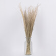 GloboStar® SILVERHAIRGRASS 36545 Αποξηραμένο Φυτό Ασημένια Χλόη - Μπουκέτο Διακοσμητικών Κλαδιών Μπεζ Υ60cm
