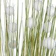 GloboStar® Artificial Garden ERIOPHORUM ANGUSTIFOLIUM COTTON GRASS 20073 Τεχνητό Διακοσμητικό Φυτό Γρασίδι του Βαμβακιού Υ150cm