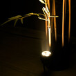 GLOBOSTAR® TREELIGHT-TREESPO 90464 Σποτ Φωτισμού για Φυτά - Δέντρα LED 6W 630lm 15° DC 24V Αδιάβροχο IP67 Αρχιτεκτονικό Πορτοκαλί 2200K Dimmable - Γκρι Ανθρακί - Μ6.6 x Π9 x Υ12cm - 3 Χρόνια Εγγύηση