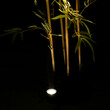 GLOBOSTAR® TREELIGHT-TREEDITA 90474 Σποτ Φωτισμού για Φυτά - Δέντρα LED 3W 330lm 8° DC 24V Αδιάβροχο IP65 Θερμό Λευκό 2700K Dimmable - Γκρι Ανθρακί - Μ5.7 x Π6.5 x Υ9.8cm - 3 Χρόνια Εγγύηση