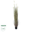 GloboStar® Artificial Garden BEIGE LAGURUS 21104 Διακοσμητικό Φυτό Μπεζ Λαγοουρά Υ180cm