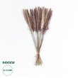 GloboStar® Artificial Garden REAL DRIED BROWN PAMPAS GRASS BUNCH 21215 Αποξηραμένο Διακοσμητικό Μπουκέτο Pampas Kάφε Y50cm
