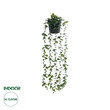GloboStar® Artificial Garden HANGING EUCALYPTUS LEAF 20884 - Τεχνητό Κρεμαστό Διακοσμητικό Φυτό Φύλλα Ευκάλυπτου Φ17 x Y60cm