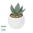 GloboStar® Artificial Garden SUCCULENT ALOE POTTED PLANT 20999 Διακοσμητικό Φυτό Αλόη  Φ7 x Υ9cm
