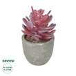 GloboStar® Artificial Garden SUCCULENT CRASSULA POTTED PLANT 21015 Διακοσμητικό Φυτό Κρασούλα  Φ7 x Υ11,5cm