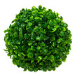 GloboStar® 78501 Artificial - Συνθετικό Τεχνητό Διακοσμητικό Φυτό Θάμνος Πυξάρι Πράσινο Φ18cm GloboStar® 78501 Artificial - Συνθετικό Τεχνητό Διακοσμητικό Φυτό Θάμνος Πυξάρι Πράσινο Φ18cm