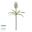 GloboStar® Artificial Garden WHITE STIPA FRUIT BRANCH 21374 Τεχνητό Διακοσμητικό Κλαδί Στίπα Y69cm