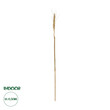 GloboStar® Artificial Garden REAL DRIED WHEAT GRASS 21488 Τεχνητό Διακοσμητικό Κλαδί Σιταριού Y30cm
