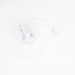 GloboStar® LUMINOVA 61463 Μοντέρνο Κρεμαστό Φωτιστικό Πλέγμα Μονόφωτο 1 x E27 IP20 Λευκό Σχοινί με Λευκό Σύρμα - Μ42 x Π42 x Υ20.5cm