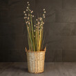 GloboStar® Artificial Garden ARIZONA 21503 Διακοσμητικό Πλεκτό Καλάθι - Κασπώ Γλάστρα - Flower Pot Μπεζ Φ36 x Υ38cm